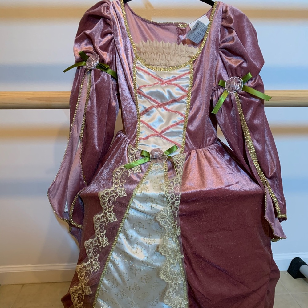 Queen/ princess Halloween costume